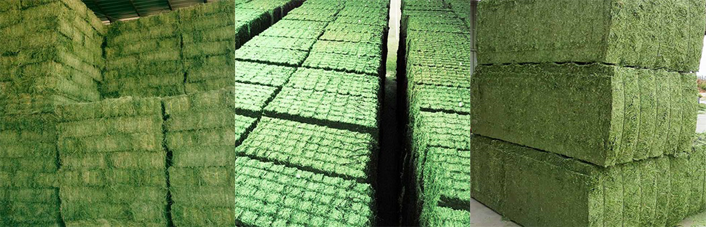 Bulk Hay Bales Cubes & Pellets