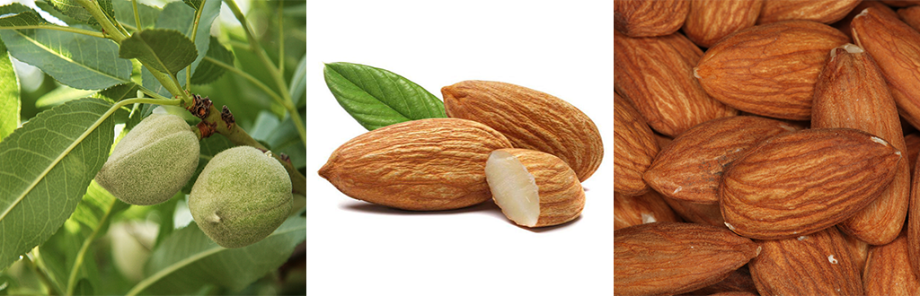 Almonds