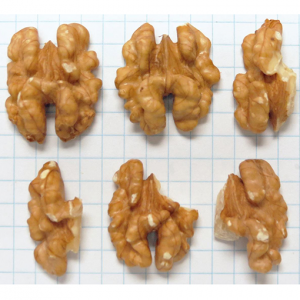 Walnuts Combo Halves & Pieces