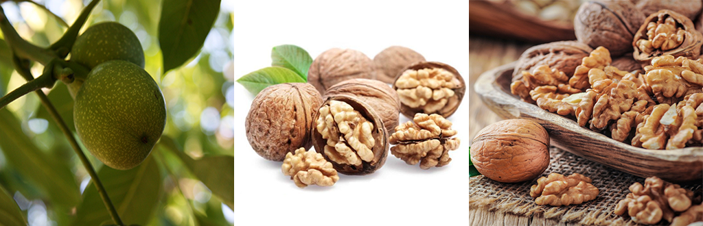 Walnuts