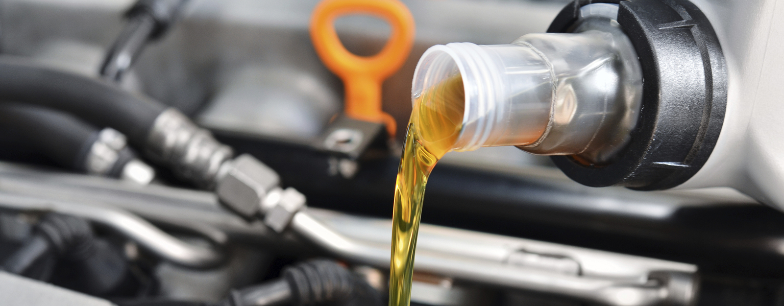 Transmission Oil