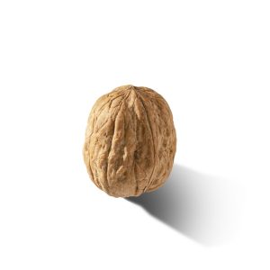 Walnuts - In shell