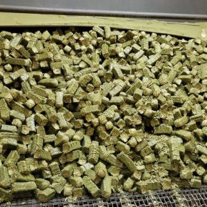 Bulk Alfalfa Premium Hay Cubes - Sun Cured
