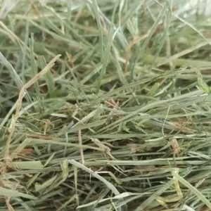 Bulk Fescue Grass Straw