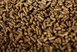 Sugarbeet Pulp Pellets