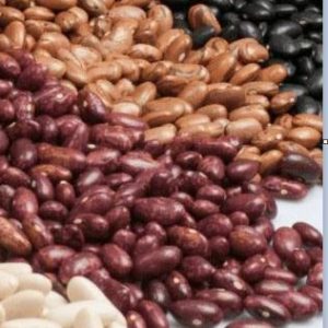 Kidney Beans