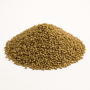 WL 458 HQ RR Alfalfa Seed - Grown in USA